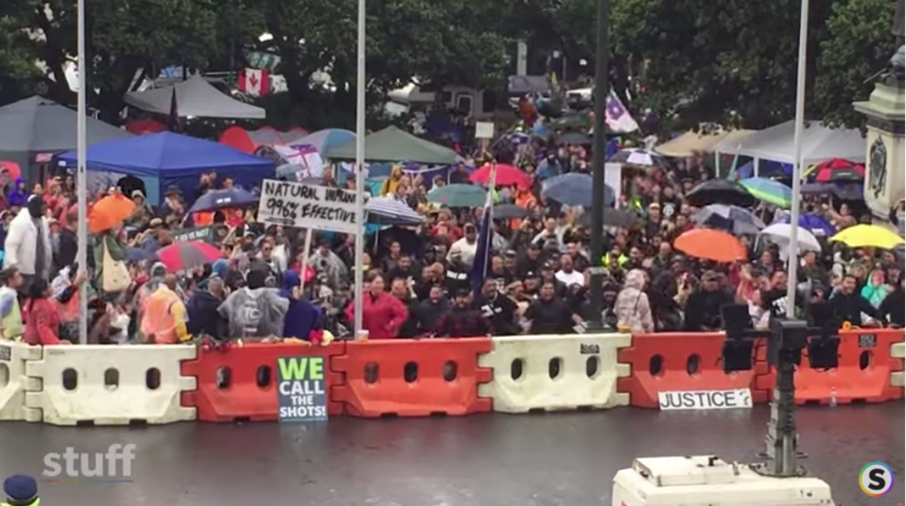 Wellington Protests Anti Mandate Protesters Perform A Haka Outside Parliament Nexus Newsfeed 